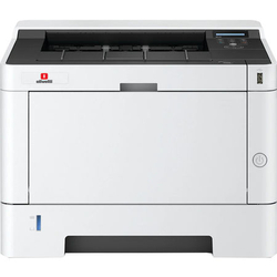 Olivetti PG-L2540 Mono Laser Yazıcı